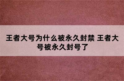 王者大号为什么被永久封禁 王者大号被永久封号了